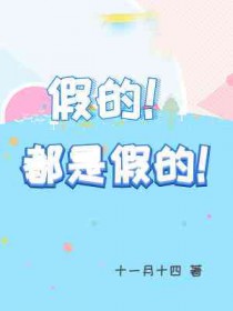 假的都是假的小说
