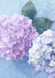 少爷的兼职工作怎么找