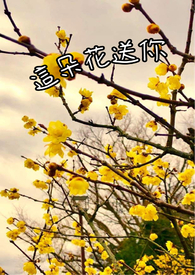 这朵菊花真大把句子补充完整