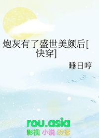 炮灰有了盛世美颜后快穿免费