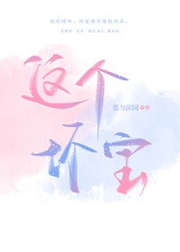 这个坏宝