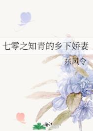 七十年代知青下乡的小说