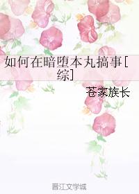 如何在暗堕本丸搞事综无防盗