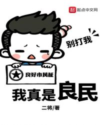我真是良民txt