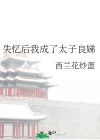 失忆后我成了太子宠妾