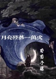 月亮坠落 小说
